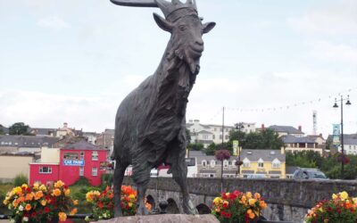 Puck Fair 2025: Ireland’s Oldest Festival Meets a Greener Future